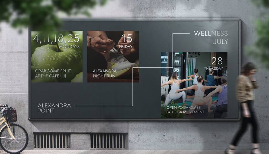 安阳包装设计公司如何进行品牌审核